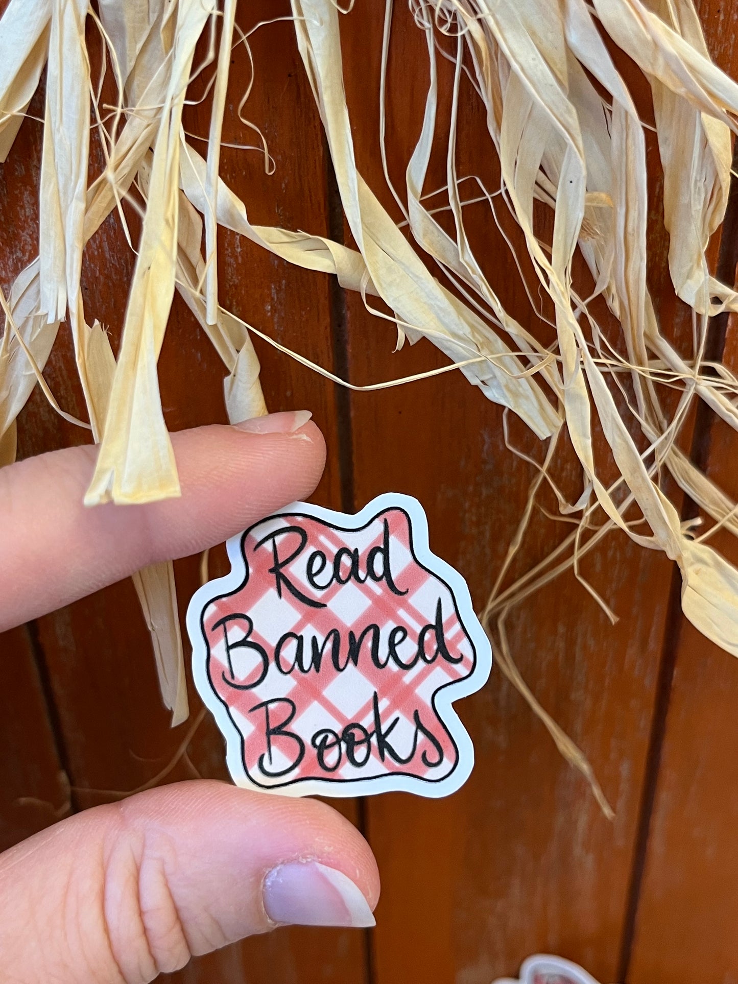 Plaid Read Banned Books Sticker